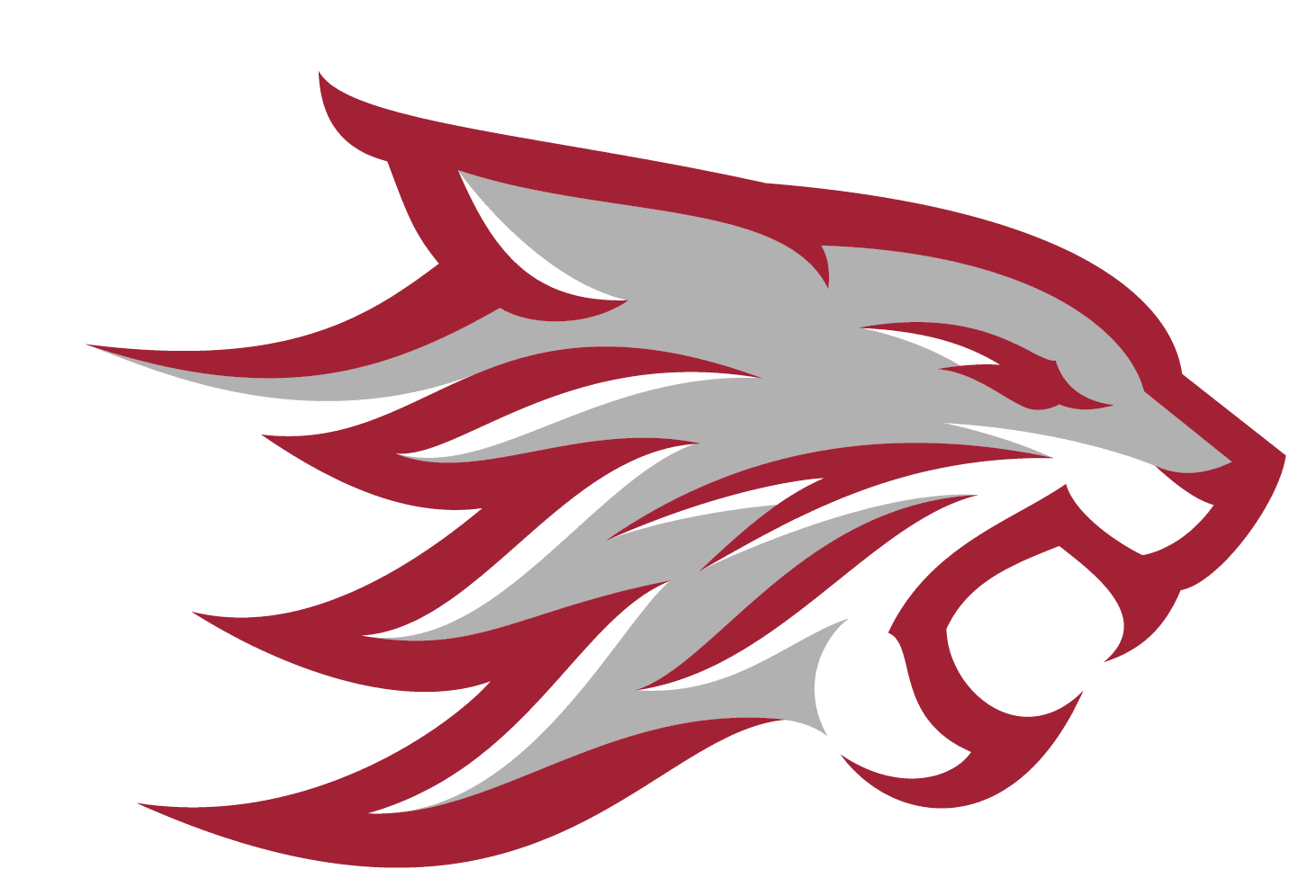 California State University, Chico